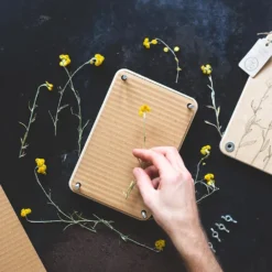 Sow N Sow Flower Press 'Billy Buttons' Create