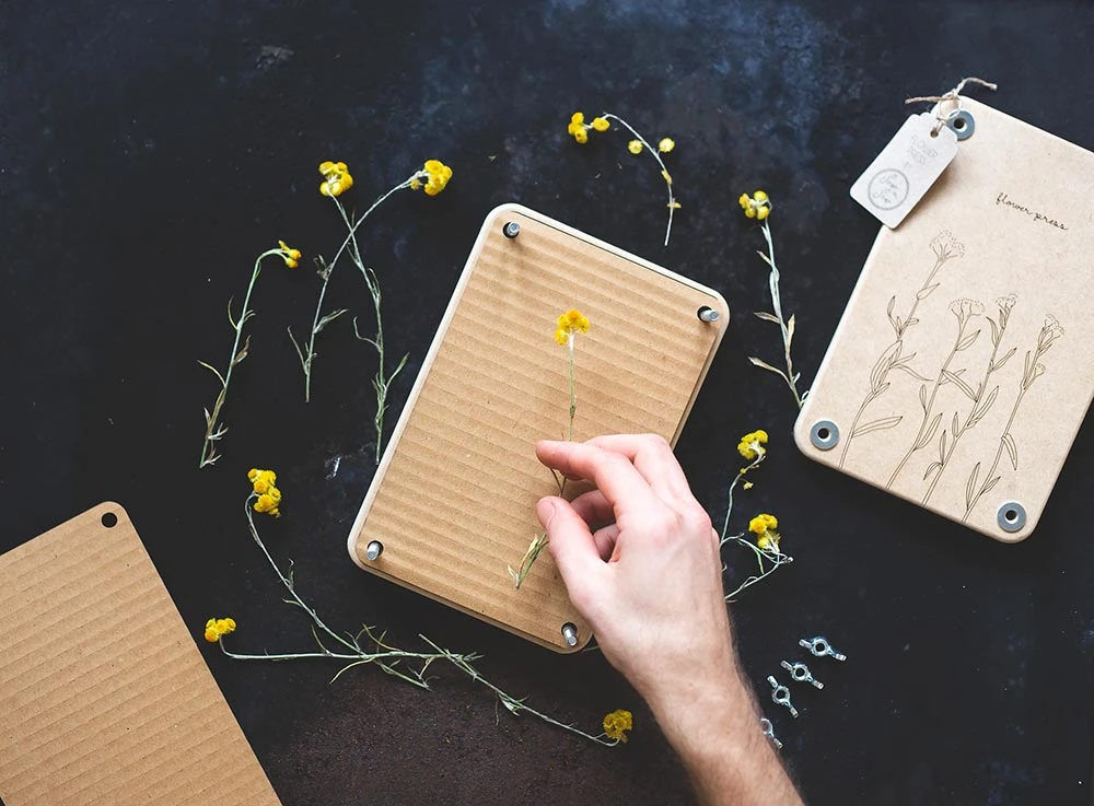 Sow N Sow Flower Press 'Billy Buttons' Create 4 Sow N Sow Flower Press 'Billy Buttons' Create