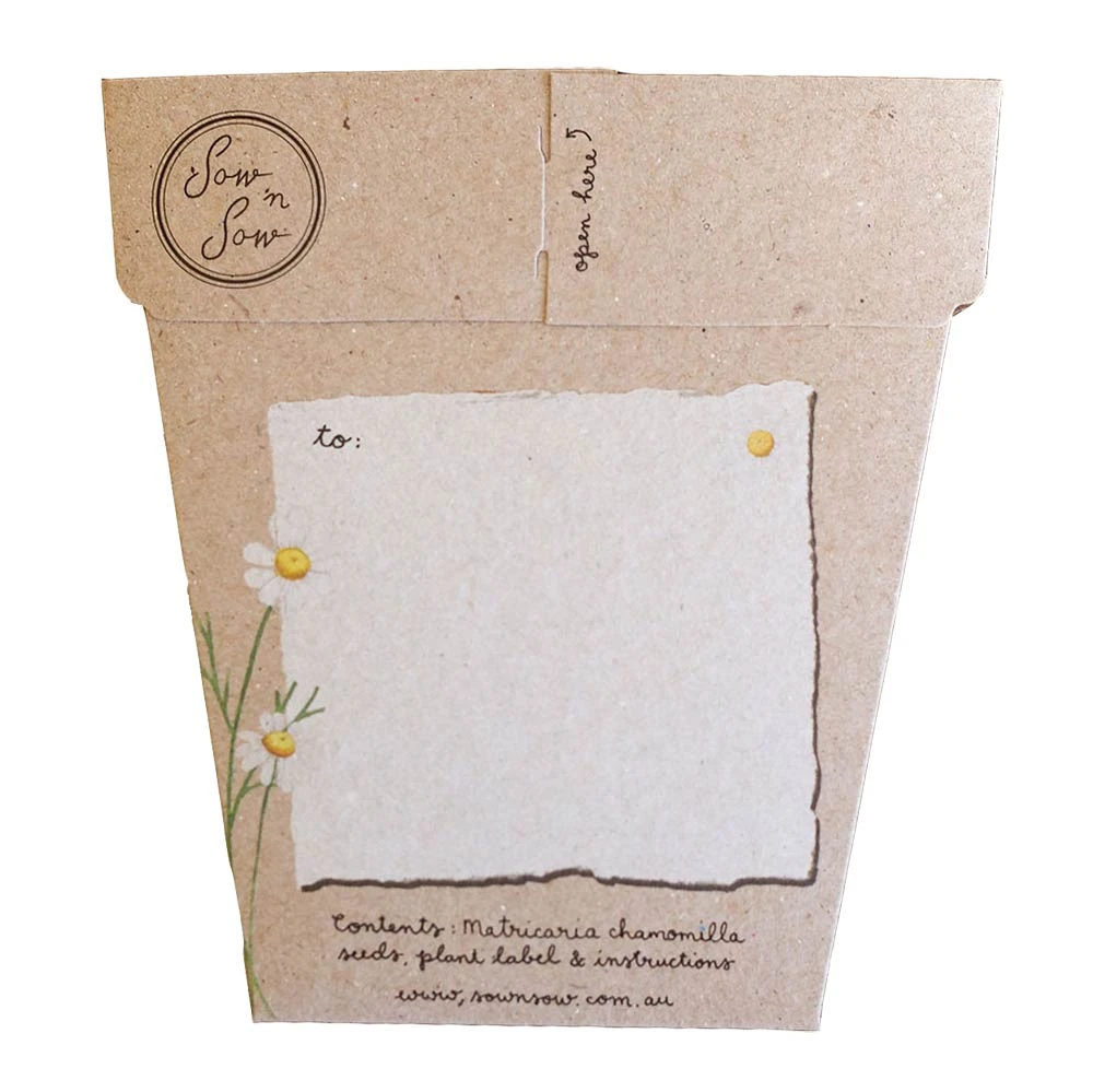 Sow N Sow Chamomile Gift Of Seeds 6 Sow N Sow Chamomile Gift Of Seeds