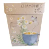 Sow N Sow Chamomile Gift Of Seeds 2 Sow N Sow Chamomile Gift Of Seeds