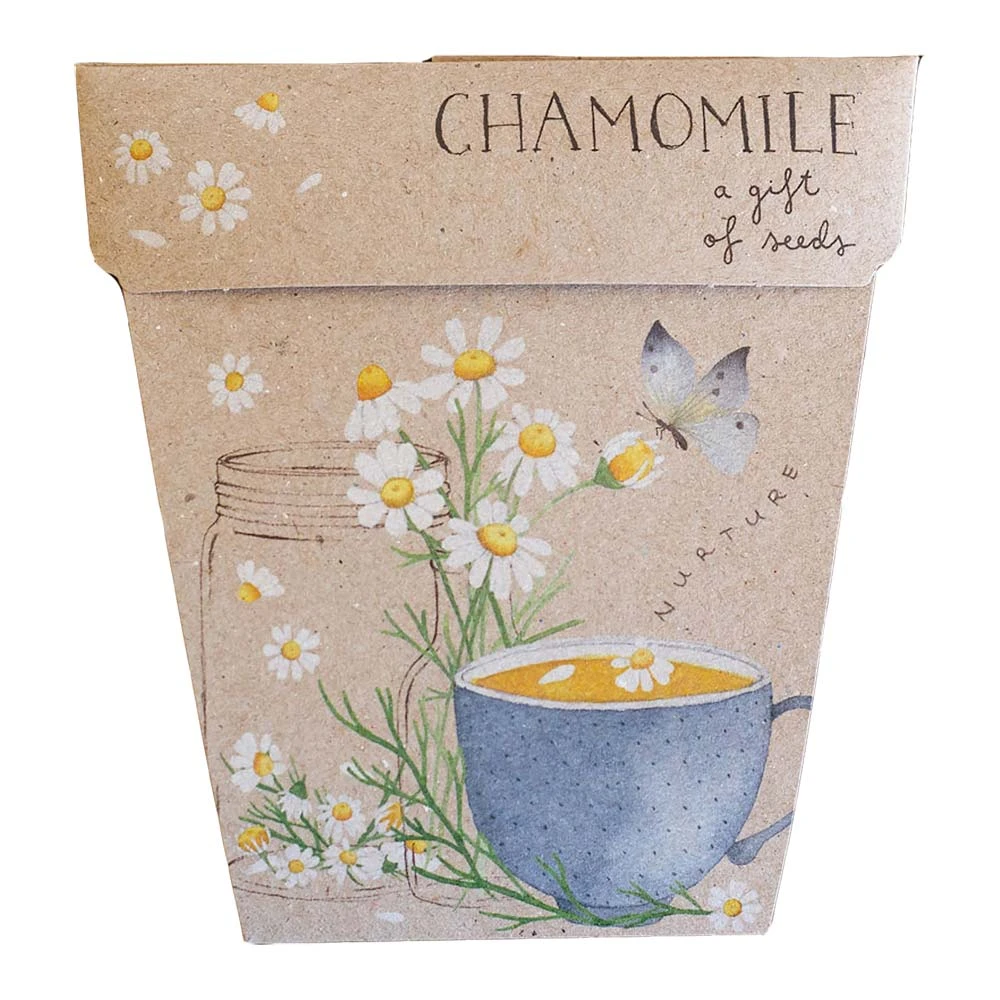 Sow N Sow Chamomile Gift Of Seeds 3 Sow N Sow Chamomile Gift Of Seeds