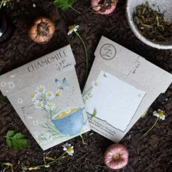 Sow N Sow Chamomile Gift Of Seeds 8 Sow N Sow Chamomile Gift Of Seeds