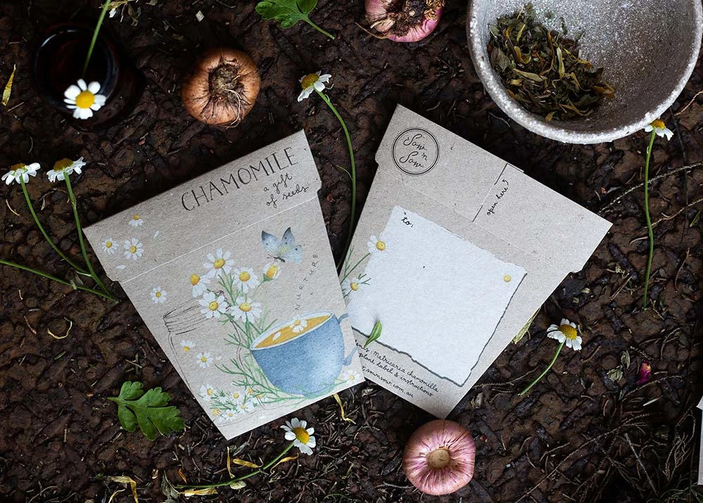 Sow N Sow Chamomile Gift Of Seeds 5 Sow N Sow Chamomile Gift Of Seeds
