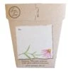 Sow N Sow Echinacea Gift Of Seeds Cards & Gifting 7 Sow N Sow Echinacea Gift Of Seeds Cards & Gifting