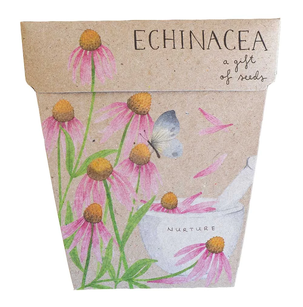 Sow N Sow Echinacea Gift Of Seeds Cards & Gifting 3 Sow N Sow Echinacea Gift Of Seeds Cards & Gifting