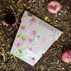 Sow N Sow Echinacea Gift Of Seeds Cards & Gifting 10 Sow N Sow Echinacea Gift Of Seeds Cards & Gifting