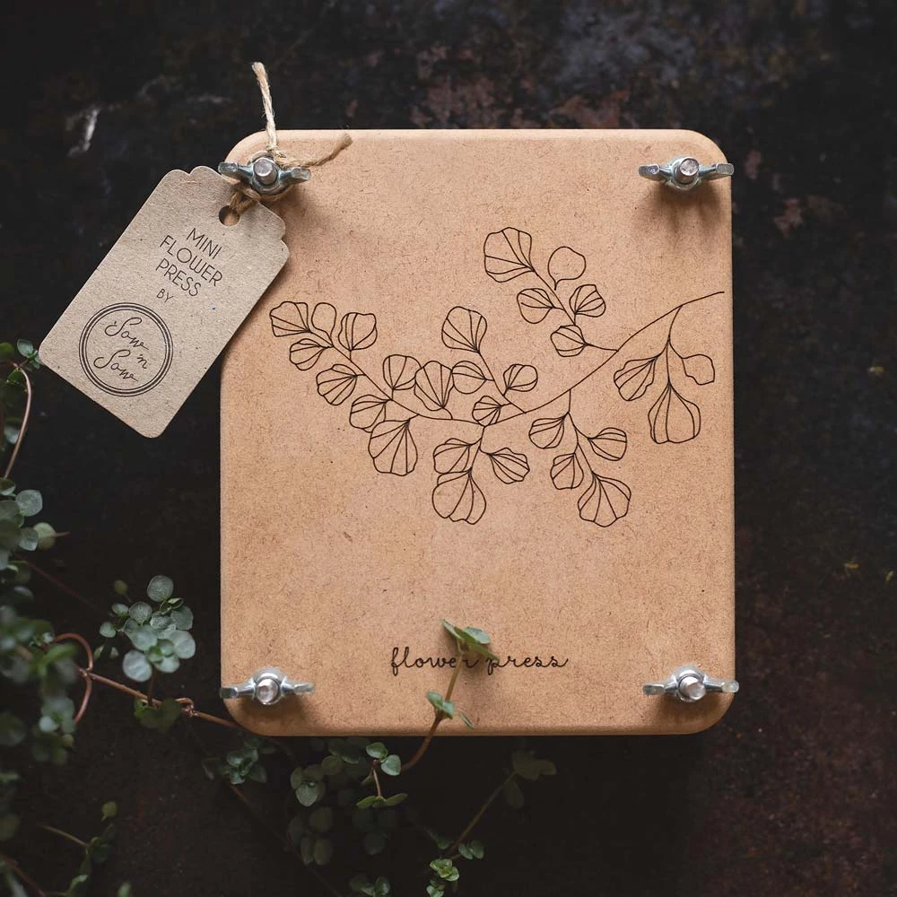 Sow N Sow Create Flower Press 'Fern' Mini 3 Sow N Sow Create Flower Press 'Fern' Mini