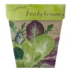 Sow N Sow Leafy Greens Gift Of Seeds