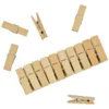 Glückskäfer Mini Wooden Clothes Pegs - 10 Pack